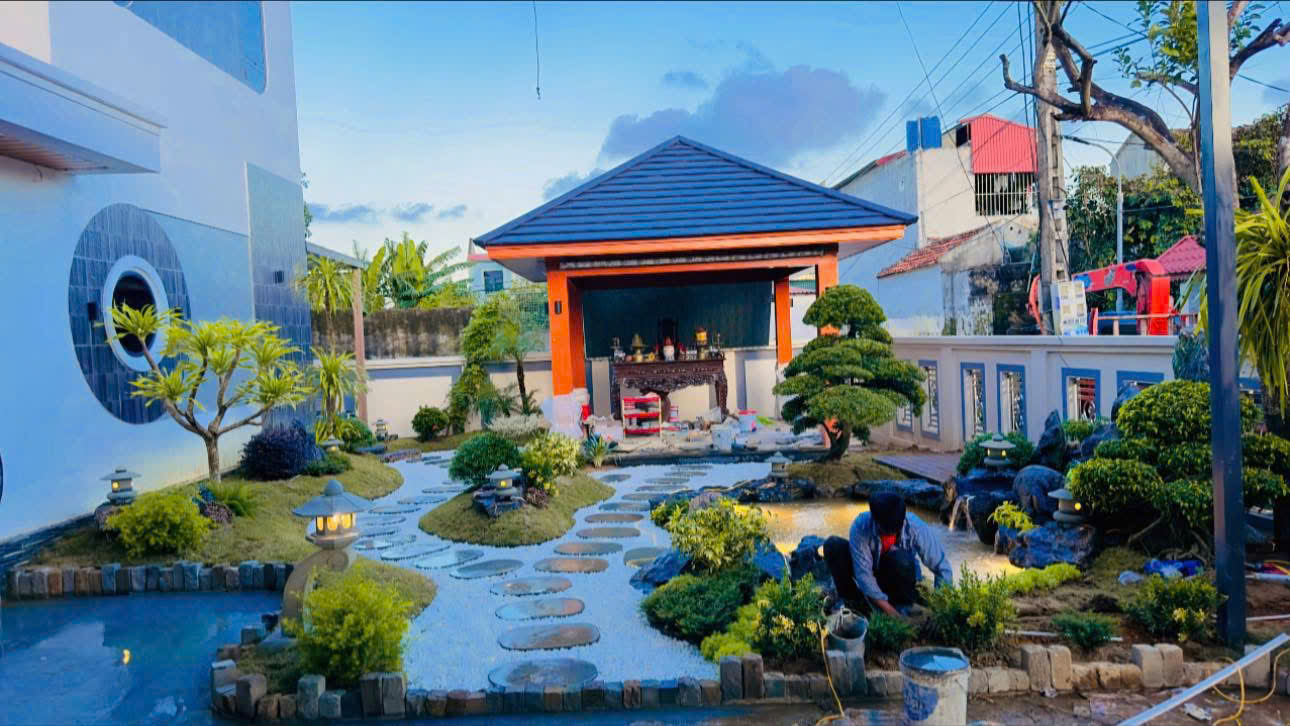 Koi Nhật cao cấp